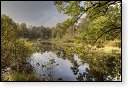 Oisterwijkse Bossen en Vennen Kampina natuurgebied natuur oisterwijk Nationaal park Landschap Het Groene Woud hei heide bossen natuurmonumenten brabant baronie boswachterij dorst